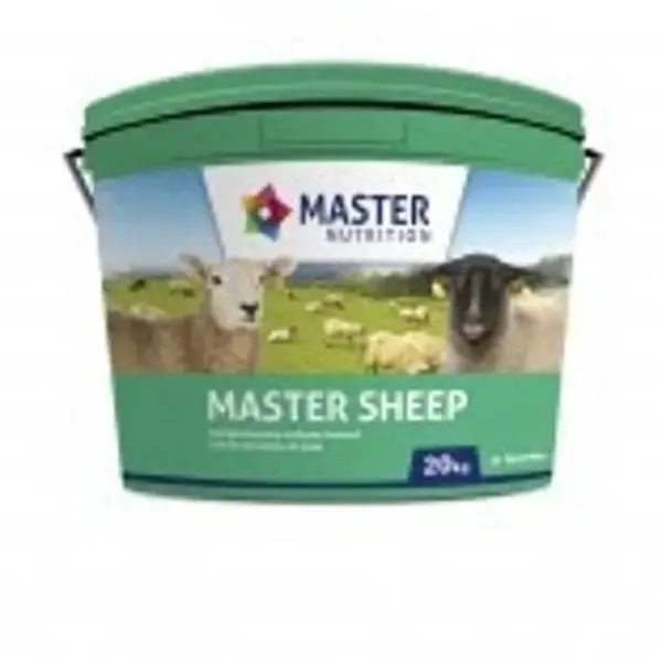 Master Sheep Mineral Block – Balanced Trace Element Supplement For Ovine Nutrition 1
