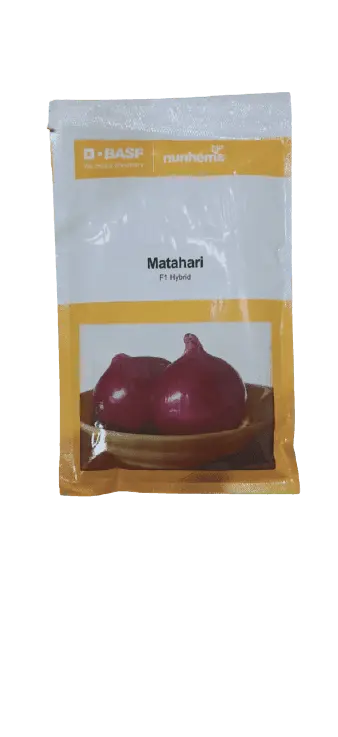 Matahari F1 Hybrid Onion Seeds By Nunhems 1