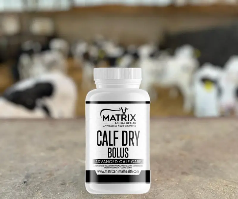 Matrix Calf Dry – Powdered Anticoccidial For Calves 1