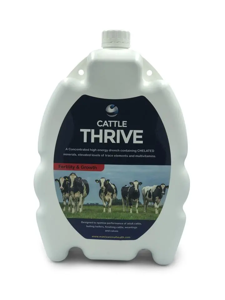 Matrix Cattle Thrive – Ruminant Performance & Health Bolus 1