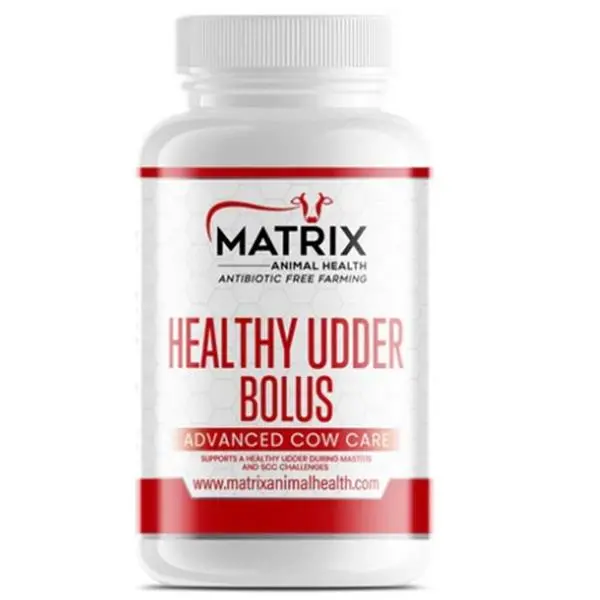 Matrix Healthy Udder Support Bolus For Lactating Dairy Cows 1