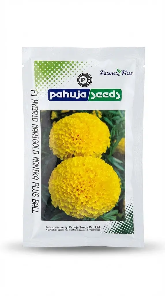 Monika Plus F1 Hybrid Yellow Marigold Seeds – Long-Lasting Bloom, Compact Habit (Pahuja) 1