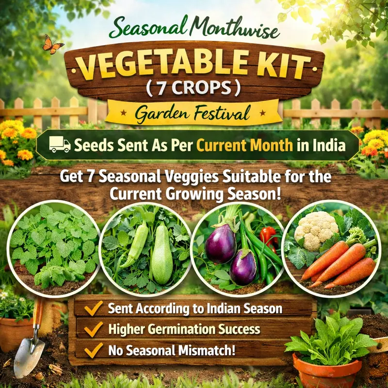 Month-By-Month Vegetable Growing Kit: 7 Seasonal Crops For Home Gardens 1