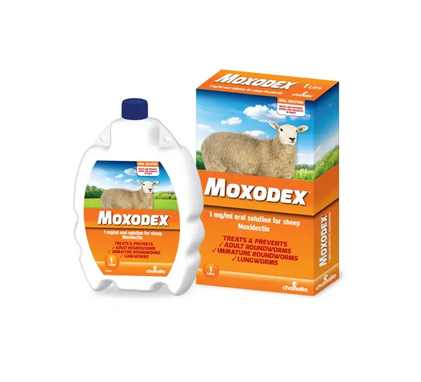Moxodex Moxidectin Pour-On Antiparasitic Solution For Cattle 1