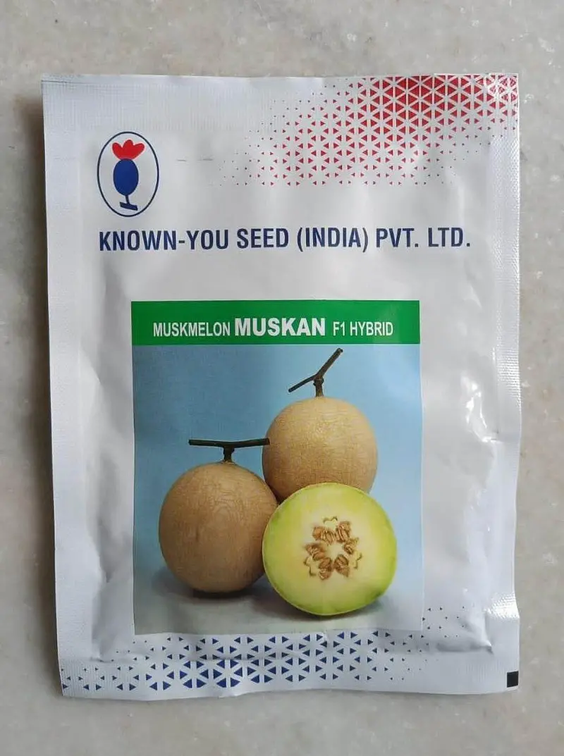 Muskan Muskmelon F1 Hybrid Seeds By Known You 1