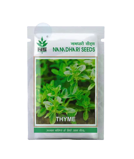 Naamdhari Thyme Exotic Culinary Herb Seeds 1