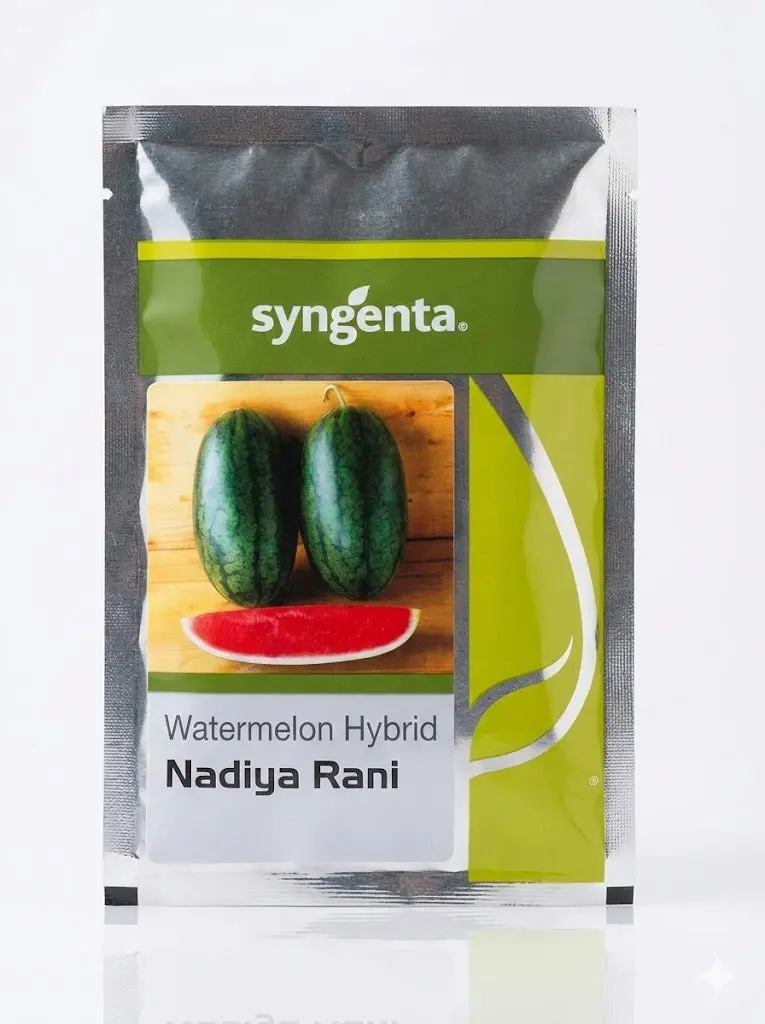 Nadiya Rani F1 Watermelon Seeds – Juicy, High-Sugar Hybrid With Strong Shelf Life 1