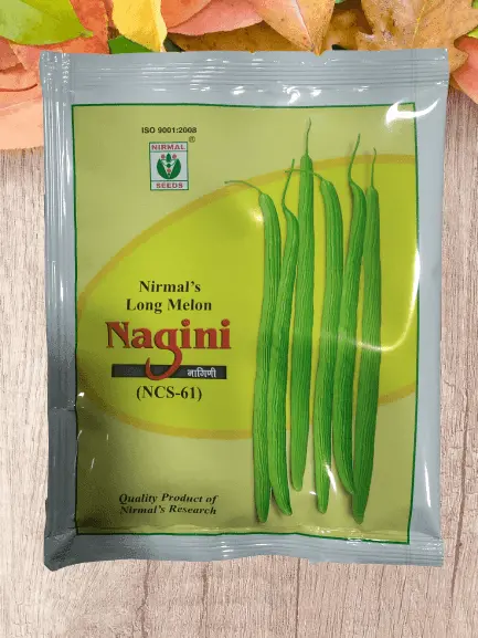 Nagini Long Melon F1 Seeds – Nirmal Seeds Ncs 61 Line 1