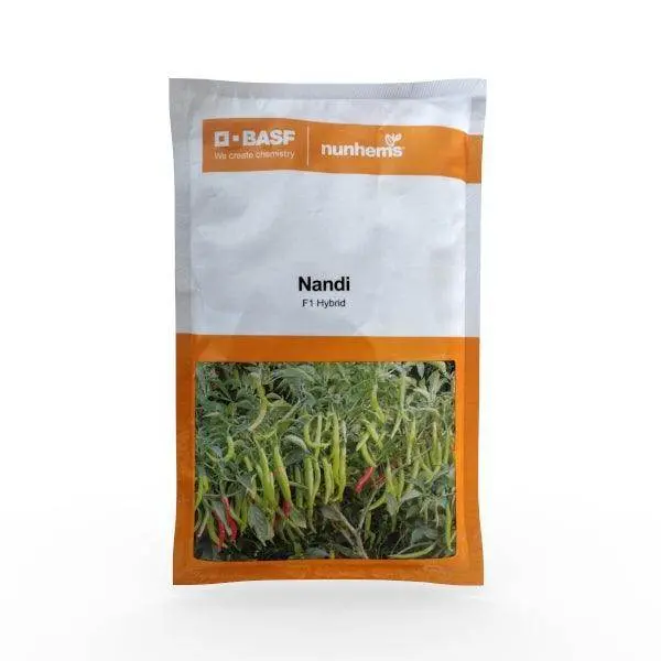 Nandi Chili – F1 Hybrid Variety By Basf Nunhems 1