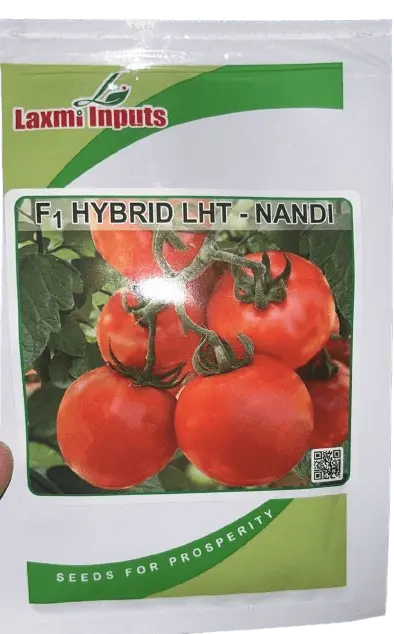 Nandi F1 Tomato Seeds – Disease-Resistant Hybrid From Laxmi Inputs 1