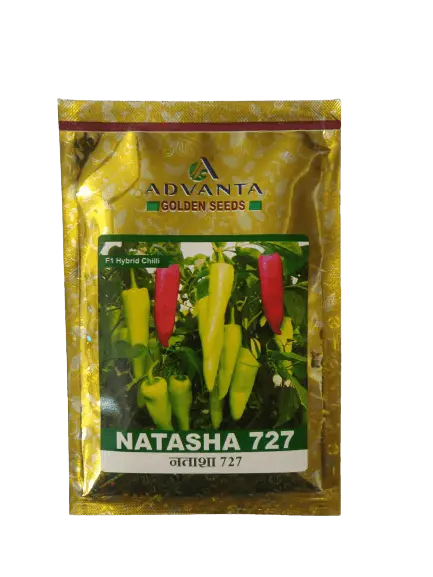 Natasha 727 F1 Chilli Seeds – High-Yield, Thick-Fleshed Hybrid (Advanta) 1