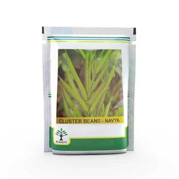 Navya Cluster Bean (Guar) Seeds – Drought-Tolerant Legume Variety 1