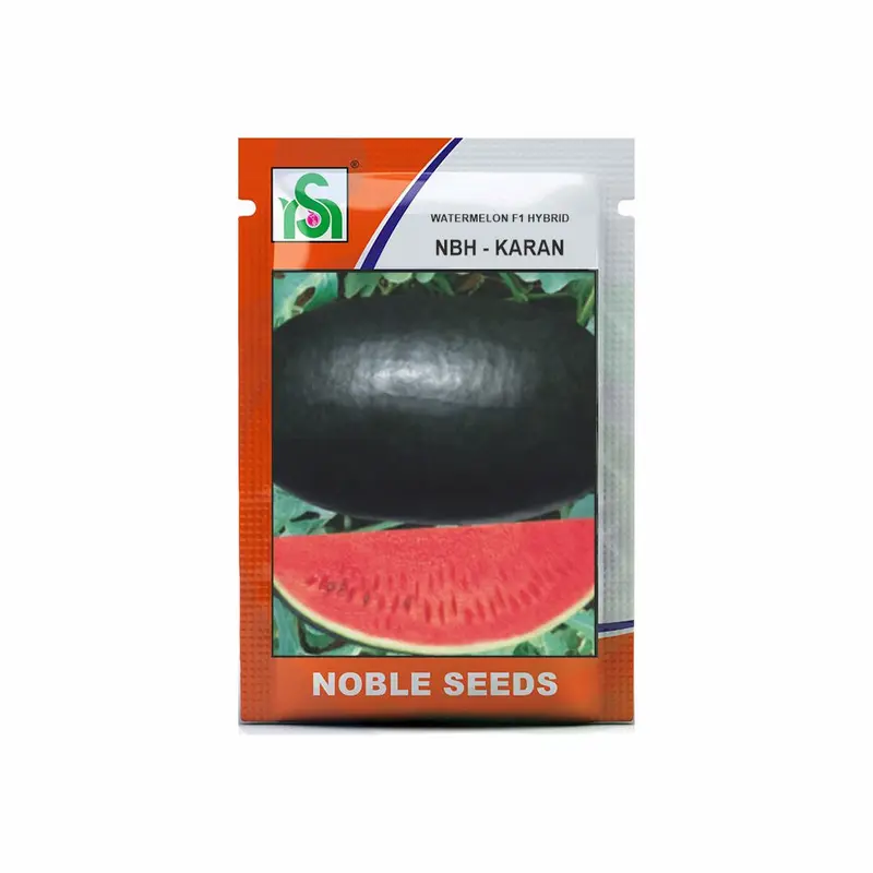 Nbh Karan F1 Watermelon Seeds – Large, Firm-Fleshed Hybrid By Noble Seeds 1