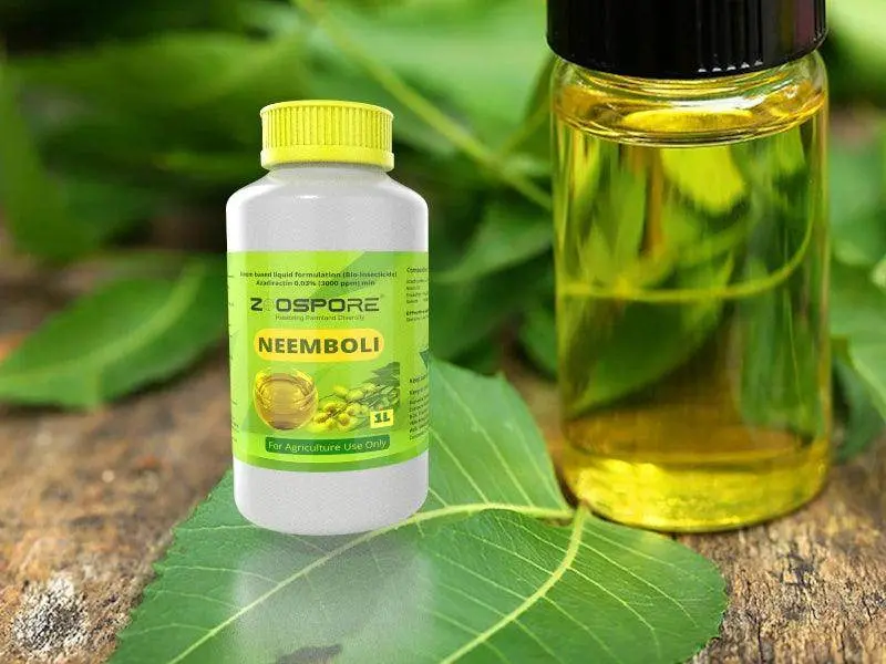 Neem Oil Biopesticide – Cold-Pressed Azadirachtin 0.15% (Zoospore Biologicals) 1