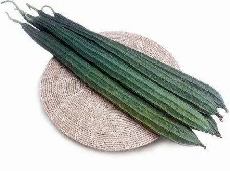 Neha Ridge Gourd Seeds (East West Seeds) 1