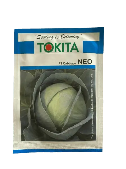 Neo F1 Cabbage Seeds – Tokita Compact Head Hybrid 1