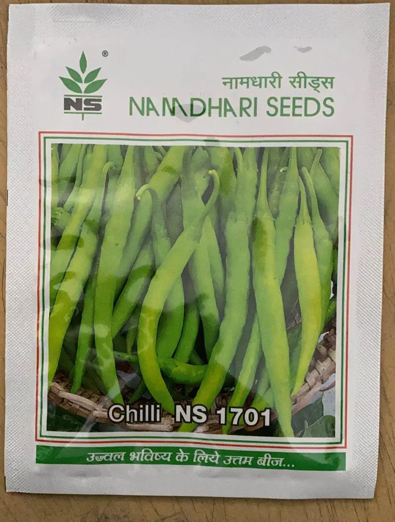 Ns 1701 F1 Chilli Seeds – High-Capsaicin Hybrid (Namdhari Seeds) 1