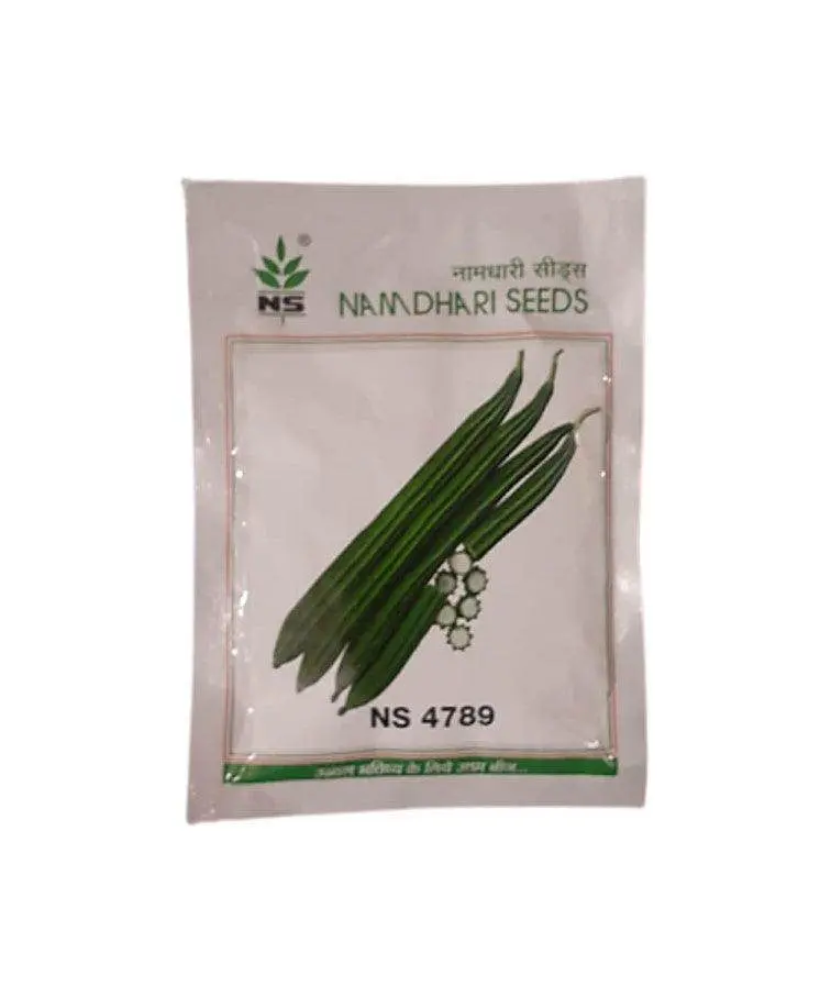Ns 4789 F1 Ridge Gourd Seeds – Naamdhari High-Yield Hybrid 1