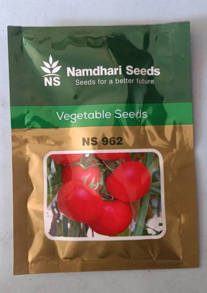 Ns 962 Tomato F1 Hybrid – Namdhari Seeds 1