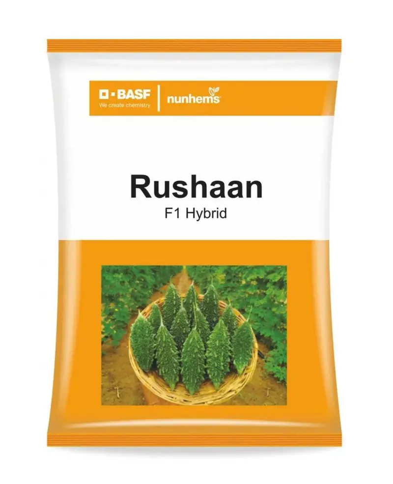 Nunhems Rushaan F1 Bitter Gourd – Dark Green, High-Yielding Variety 1