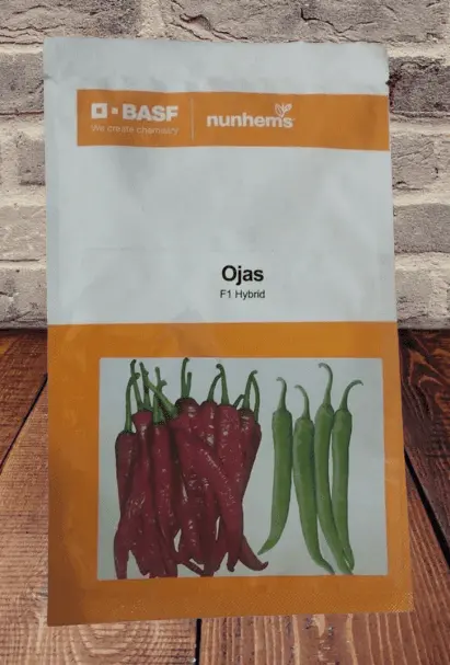 Ojas F1 Chilli Seeds – High-Capsaicin Hybrid (Basf | Nunhems) 1