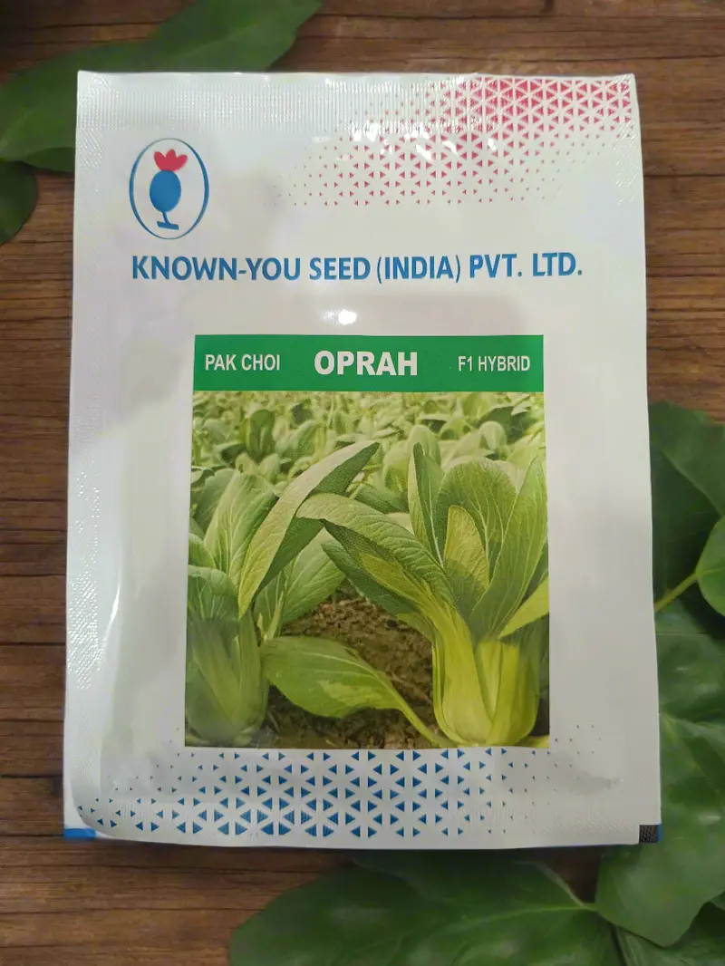 Oprah Pak Choi F1 Seeds – Known-You Compact Asian Greens Variety 1