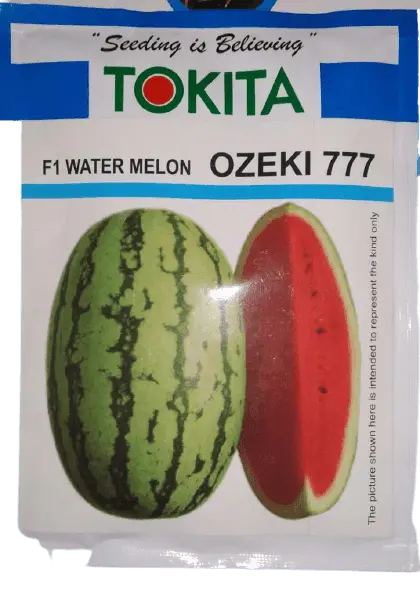 Ozeki 777 F1 Watermelon Seeds – Tokita Large-Fruit Hybrid 1