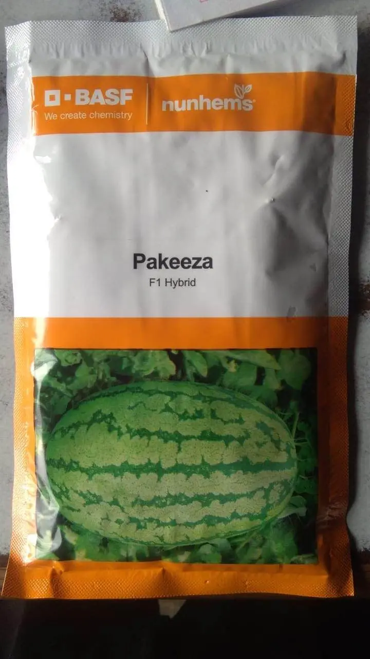 Pakeeza F1 Hybrid Watermelon Seeds – Nunhems Seed Program 1