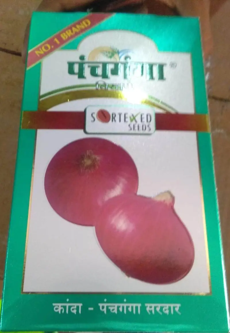 Panchaganga Sardar Onion Seeds – High-Yield Kharif Variety 1