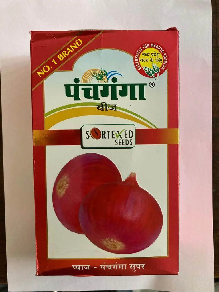 Panchaganga Super Onion Seeds – Early-Maturing, Disease-Resistant Hybrid 1