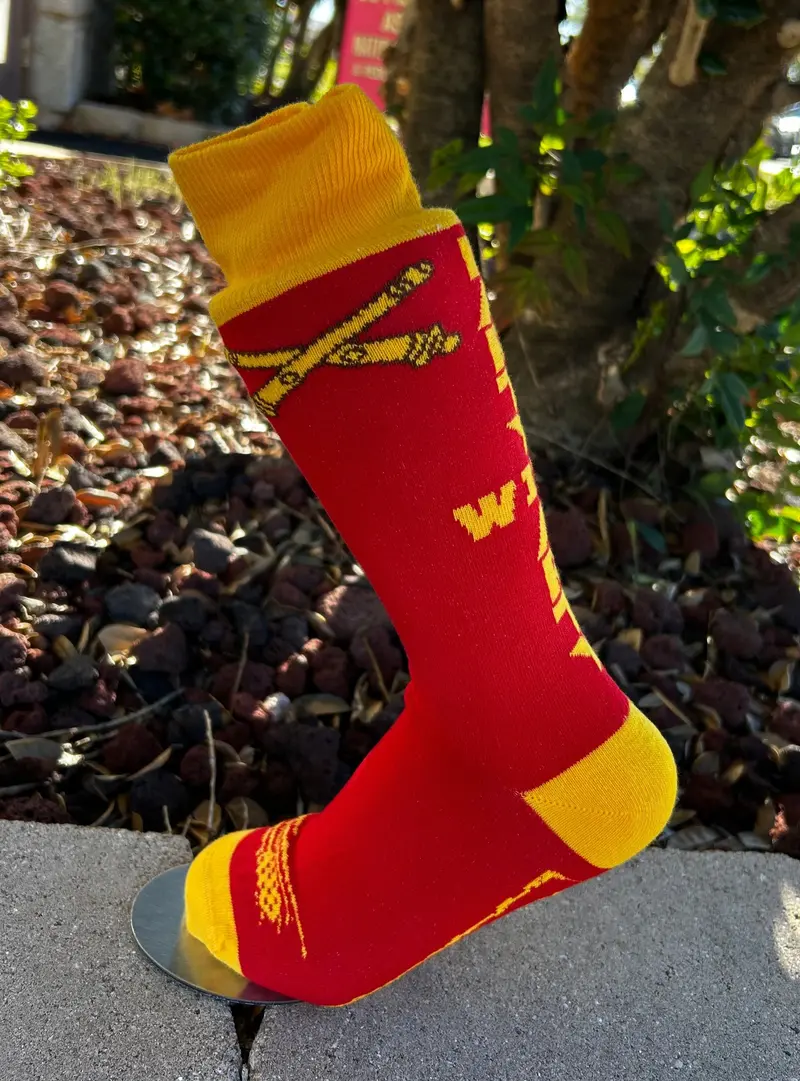 Party With Arty Fun Crew Socks 1