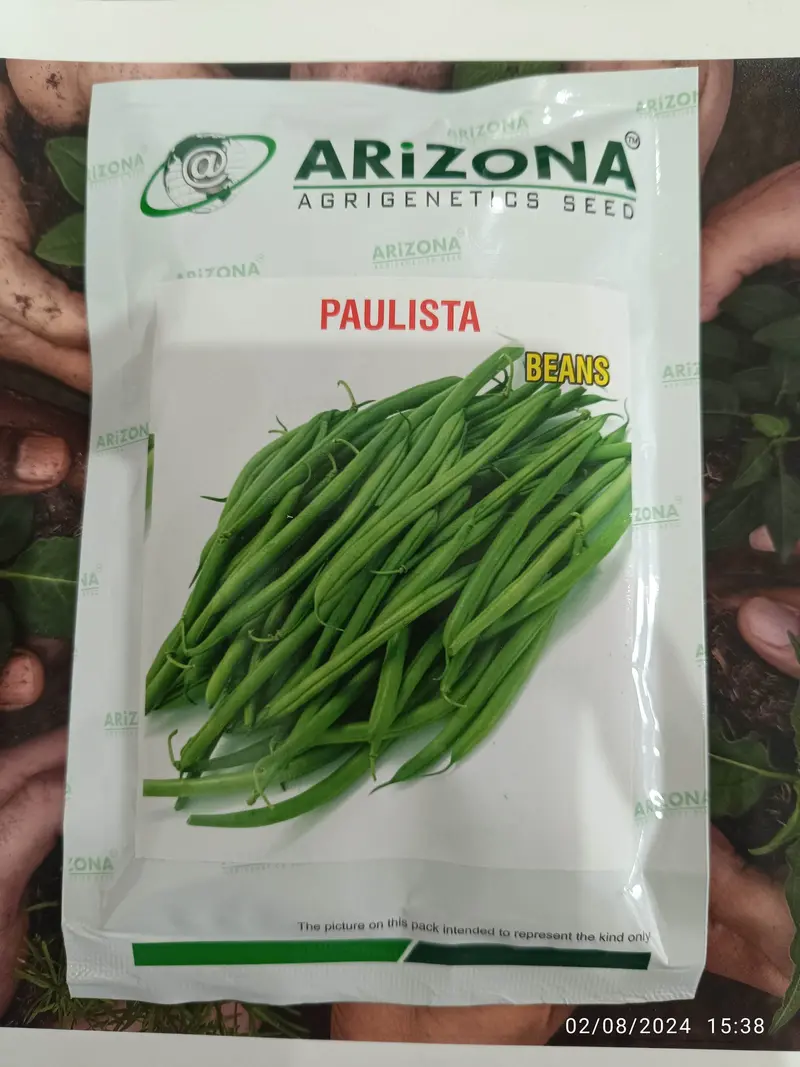 Paulista French Bean Seeds – Stringless, High-Yield Climbing Variety 1