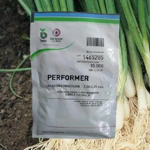 Performer Spring F1 Bunching Onion Seeds – Bejo Early-Harvest Type 1