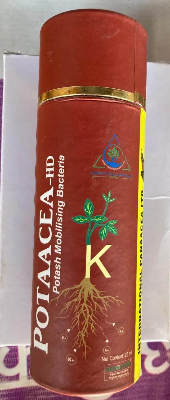 Potaacea-Hd Bioinoculant – Potassium-Mobilizing Microbial Culture – Ipl 1