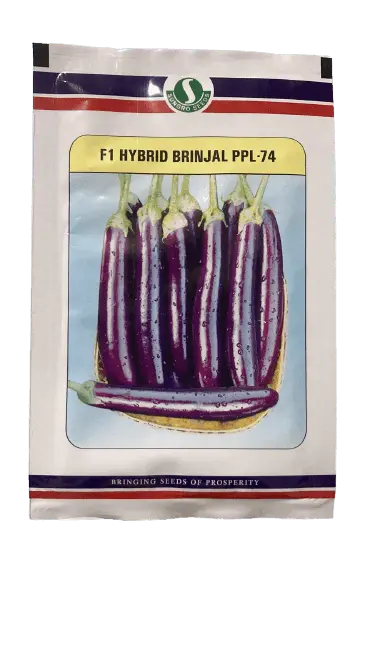 Ppl-74 F1 Brinjal Seeds – Resistant & High-Yielding (Sungro Seeds) 1