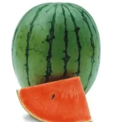 Prachi Hybrid Icebox Watermelon Seeds – Vibrant Red Flesh By Known You 1