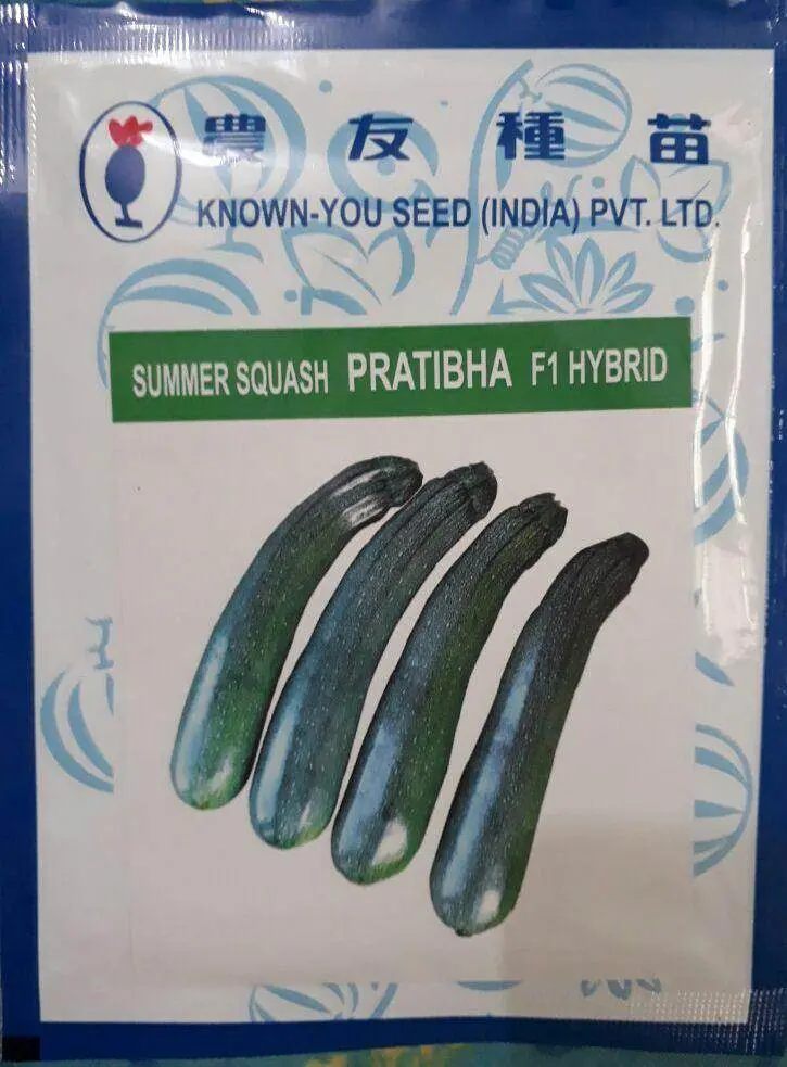 Pratibha Summer Squash Seeds – Bush-Type, Continuous-Yield Zucchini By Known You 1