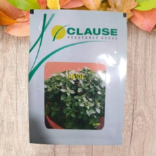 Premium Basil Seeds – Clause Certified Variety 1
