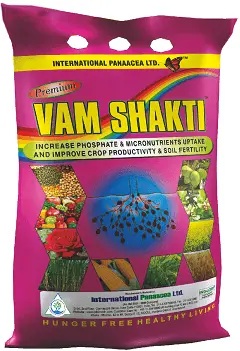 Premium Vam Shakti Mycorrhizal Granules – Vesicular Arbuscular Mycorrhiza – Ipl 1