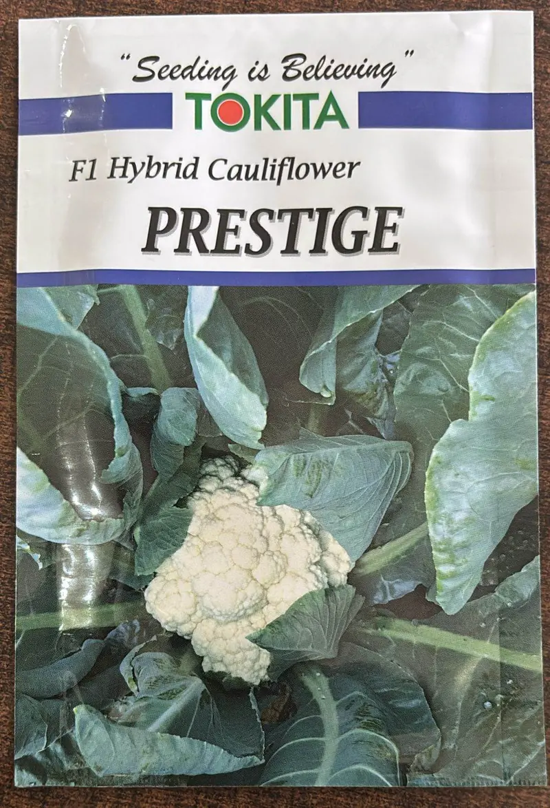 Prestige F1 Cauliflower Seeds – Tokita Cold-Tolerant Head Variety 1