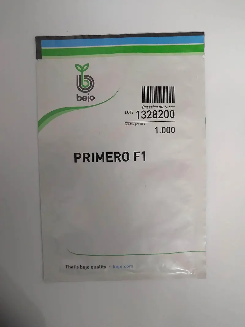 Primero Red Cabbage Seeds – Bejo Brand 1