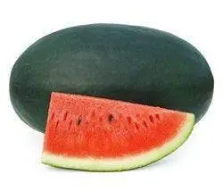Priya Hybrid Red-Flesh Icebox Watermelon Seeds – Known You Certified 1