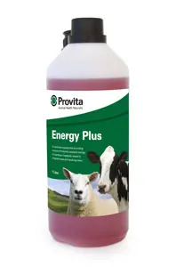 Provita Energy Plus Bovine Energy Booster 1