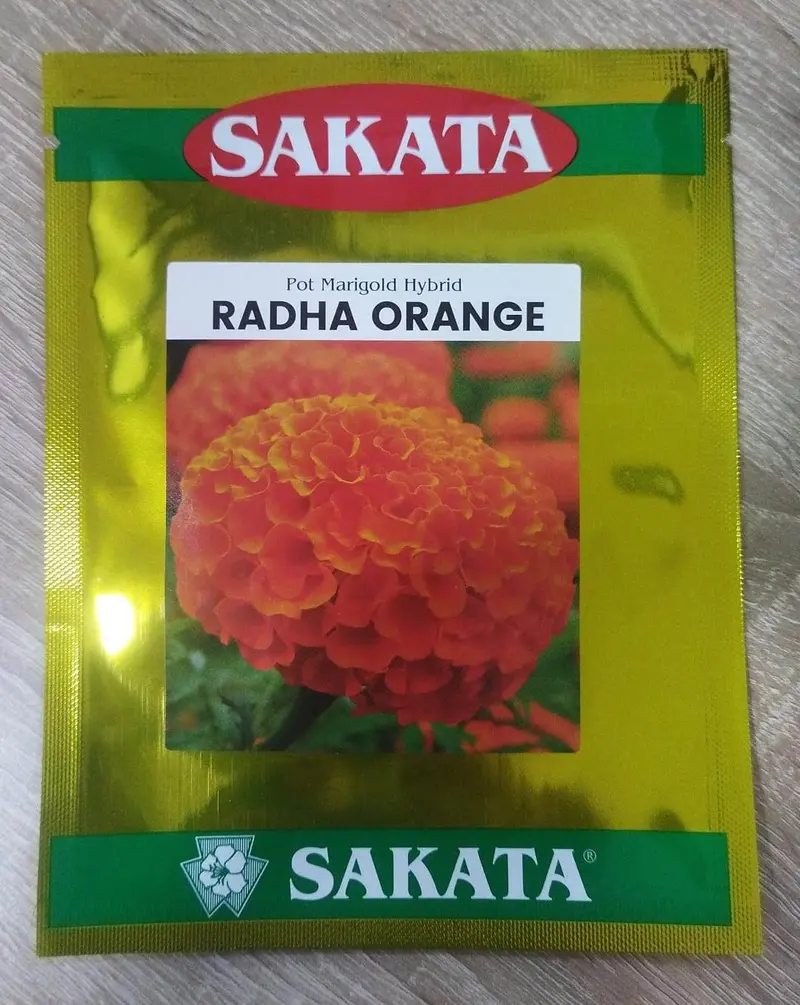 Radha F1 Marigold Seeds – Sakata’S Early-Flowering Hybrid 3
