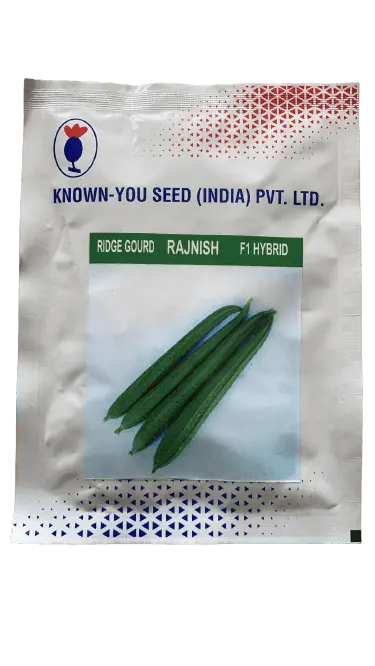 Rajnish F1 Ridge Gourd Hybrid Seeds – Known-You Premium Cultivar 1
