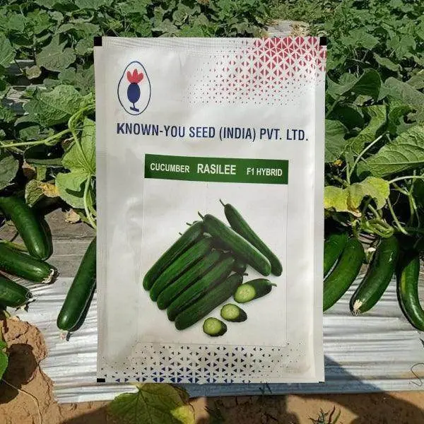 Rasilee Cucumber – F1 Hybrid By Known You Seeds 1