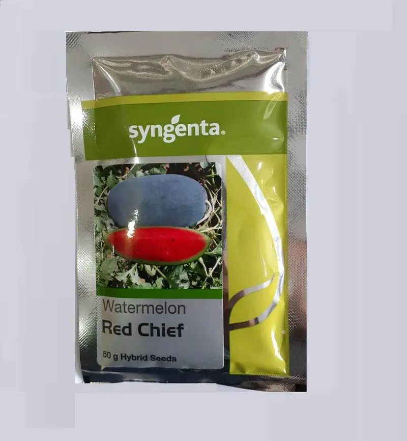 Red Chief F1 Watermelon – Early-Maturing, Crimson-Fleshed Hybrid (Syngenta) 1
