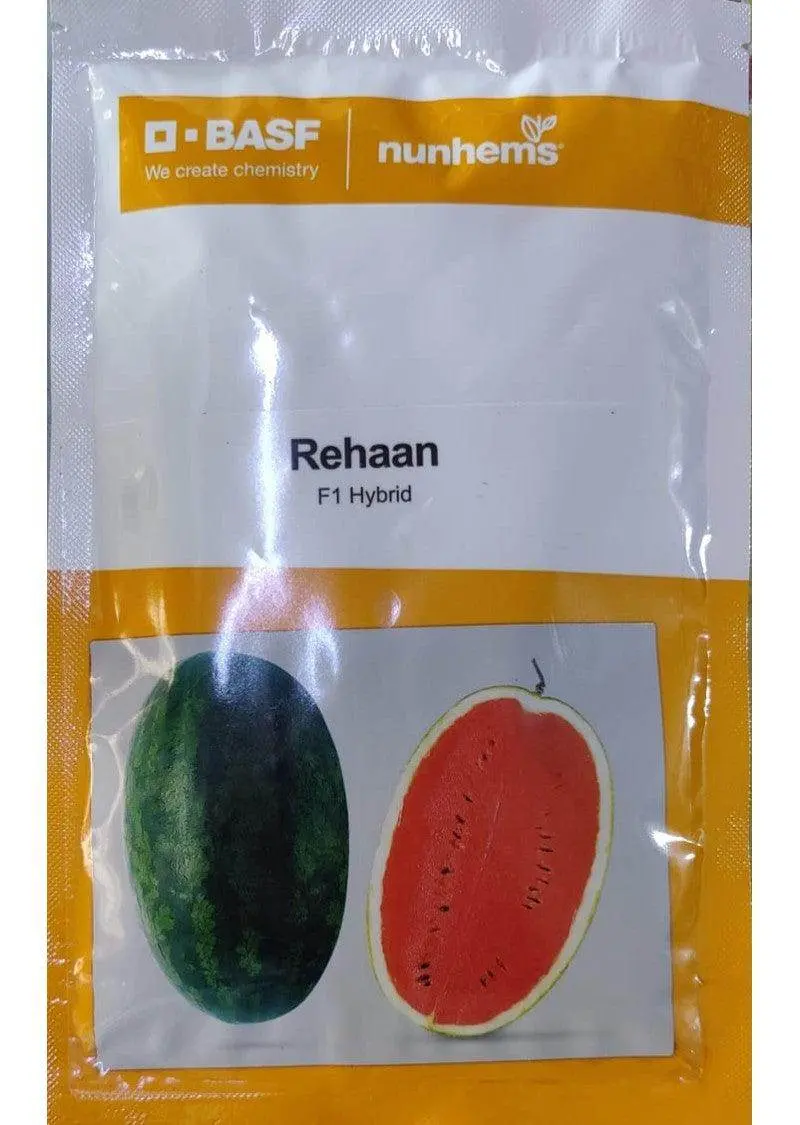 Rehaan F1 Watermelon – Early-Maturing, High-Sugar Hybrid (Nunhems) 1