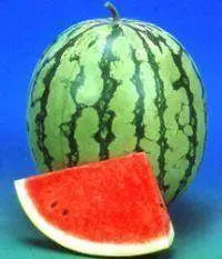 Renuka Hybrid Watermelon Seeds – Reliable Yield, Known You 1