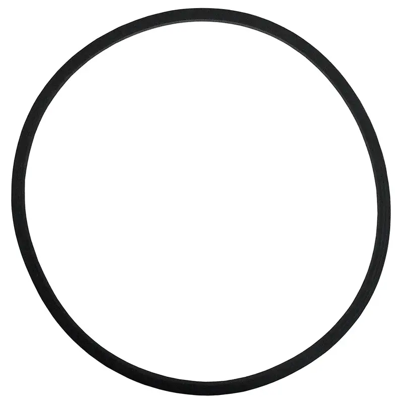 Replacement Lid Gasket For 15-Gallon Pressure Tank – Model 51-720 1